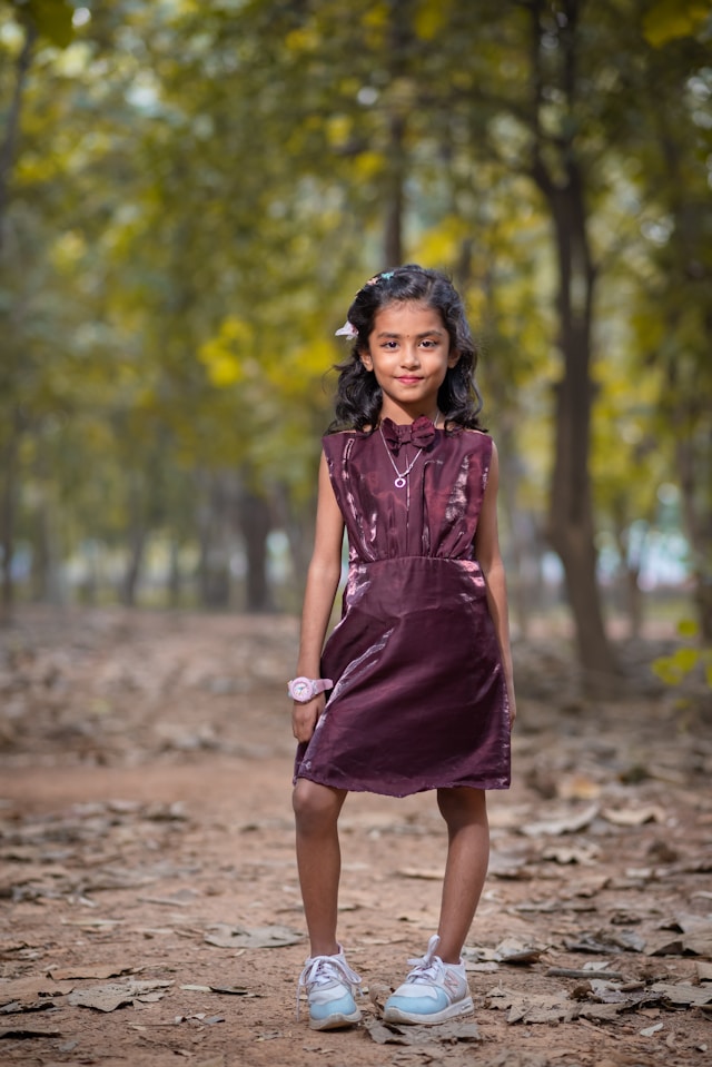 Ethnic Lehenga Choli